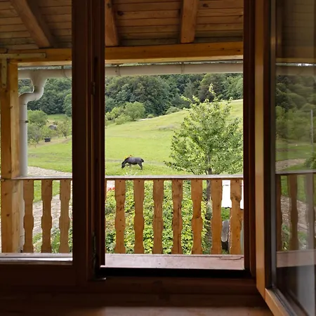 Vakantieboerderij Natura Planinca Kalobje